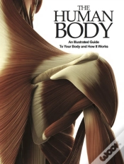 Capa do artigo The Human Body