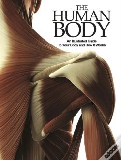 Capa do artigo The Human Body