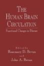 The Human Brain Circulation - Preview