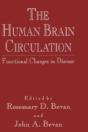 The Human Brain Circulation - Preview