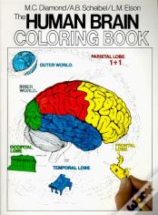 The Human Brain Coloring Book