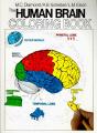 The Human Brain Coloring Book - Preview