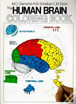 Capa do artigo The Human Brain Coloring Book