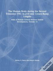The Human Brain During The Second Trimester 190â€“ To 210â€“Mm Crown-Rump Lengths