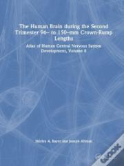 The Human Brain During The Second Trimester 96â€“ To 150â€“Mm Crown-Rump Lengths
