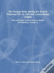 Capa do artigo The Human Brain During The Second Trimester 96â€“ To 150â€“Mm Crown-Rump Lengths