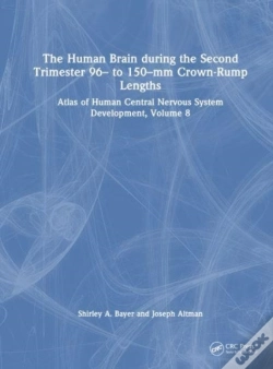 Capa do artigo The Human Brain During The Second Trimester 96â€“ To 150â€“Mm Crown-Rump Lengths