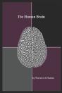 The Human Brain - Preview