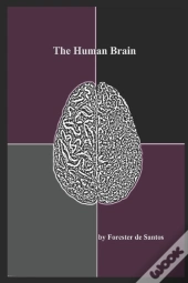The Human Brain