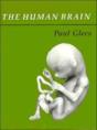 The Human Brain - Preview