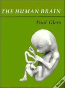 Capa do artigo The Human Brain