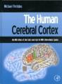 The Human Cerebral Cortex - Preview