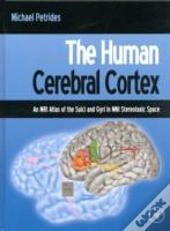The Human Cerebral Cortex