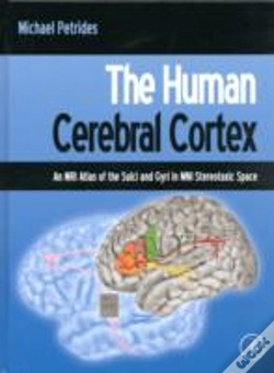 Capa do artigo The Human Cerebral Cortex