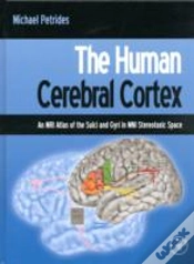 Capa do artigo The Human Cerebral Cortex