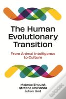 The Human Evolutionary Transition