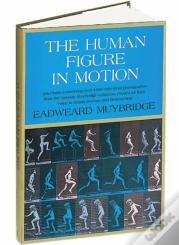 The Human Figure In Motion