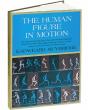 The Human Figure In Motion - Preview