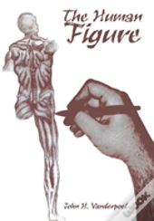 The Human Figure