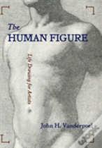 The Human Figure