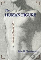 The Human Figure
