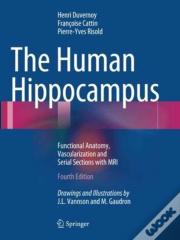 The Human Hippocampus