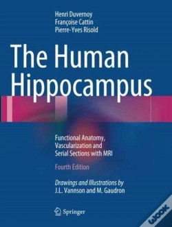 Capa do artigo The Human Hippocampus