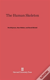 The Human Skeleton