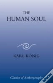 Capa do artigo The Human Soul