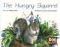 The Hungry Squirrel - Preview