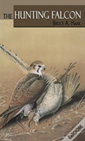 The Hunting Falcon