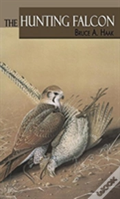 Capa do artigo The Hunting Falcon