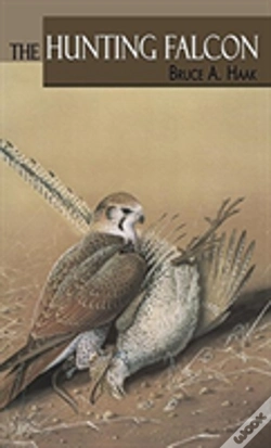 Capa do artigo The Hunting Falcon