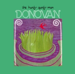 Capa do artigo The Hurdy Gurdy Man - Vinil