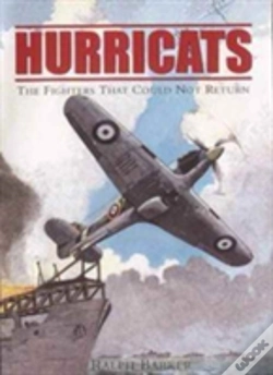 Capa do artigo The Hurricats