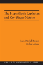 The Hypoelliptic Laplacian And Ray-Singer Metrics - Preview