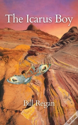 Capa do artigo The Icarus Boy