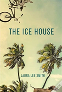 Capa do artigo The Ice House