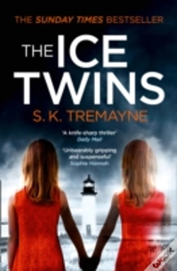 Capa do artigo The Ice Twins