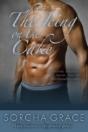 The Icing On The Cake - Preview