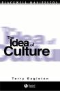 The Idea Of Culture - Preview