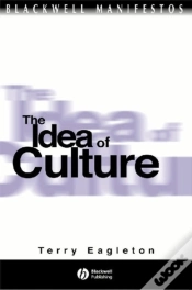 Capa do artigo The Idea Of Culture