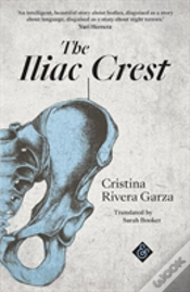 Capa do artigo The Iliac Crest