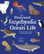 The Illustrated Encyclopedia Of Ocean Life - Preview