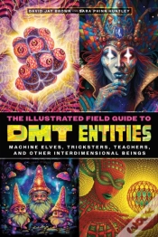 Capa do artigo The Illustrated Field Guide To Dmt Entities