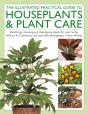 The Illustrated Practical Guide To Houseplants & Plant Care - Preview