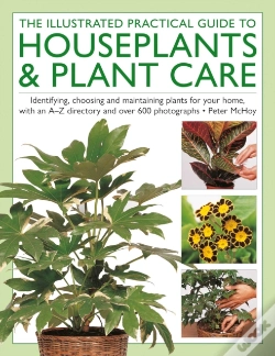 Capa do artigo The Illustrated Practical Guide To Houseplants & Plant Care