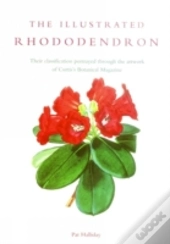 The Illustrated Rhododendron