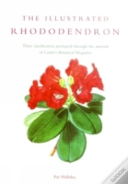 Capa do artigo The Illustrated Rhododendron