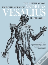 The Illustrations From The Works Of Andreas Vesalius Of Brussels